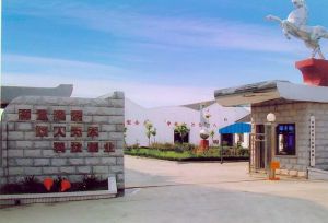 常州市第八紡織機械有限公司 常州市第八紡織機械有限公司