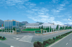 弘生集團有限公司 弘生集團有限公司
