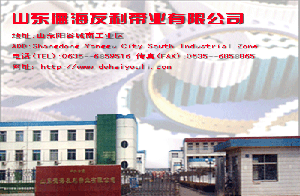 山東德海友利帶業(yè)有限公司 山東德海友利帶業(yè)有限公司