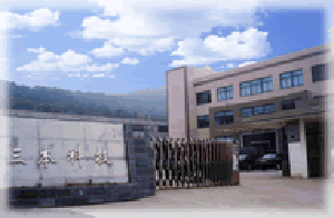 江陰三本科技有限公司 江陰三本科技有限公司