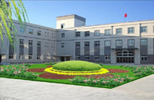 紹興市新球貿易有限公司 紹興市新球貿易有限公司